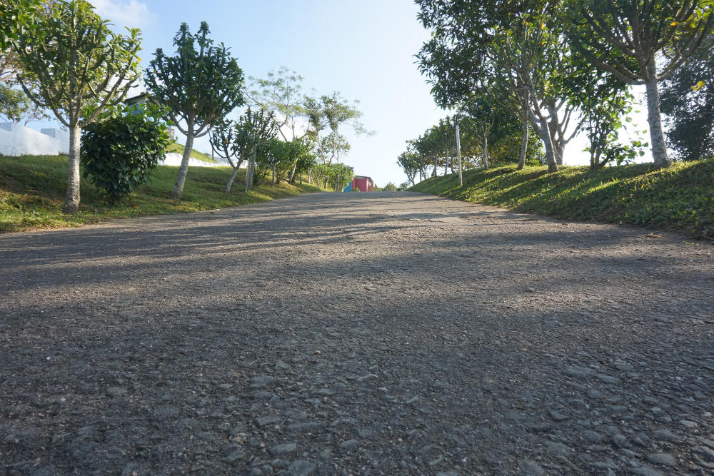 Tips to Extend the Lifespan of Your Asphalt Driveway